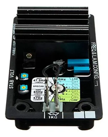 Avr Leroy Somer R250