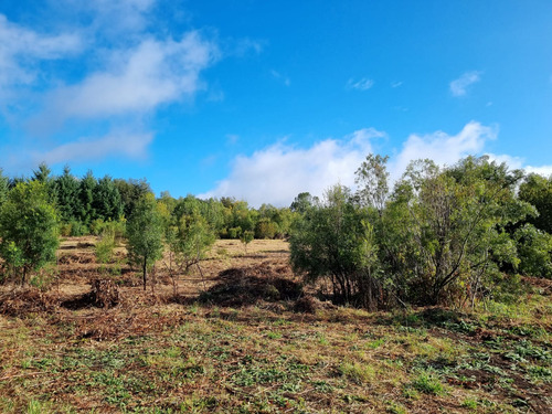 Hermosa Parcela Sector Rural