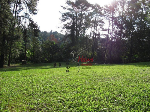Imagem 14 de 20 de Chácara Com 4 Dormitórios À Venda, 7650 M² Por R$ 3.999.999,99 - Vila Santo Antônio - Cotia/sp - Ch0017