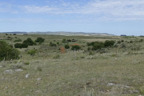 Ruta 39, A 47 Km De Punta Del Este, Venta De Campo Ganadero, Muy Panorámico Y Con Cañadas.