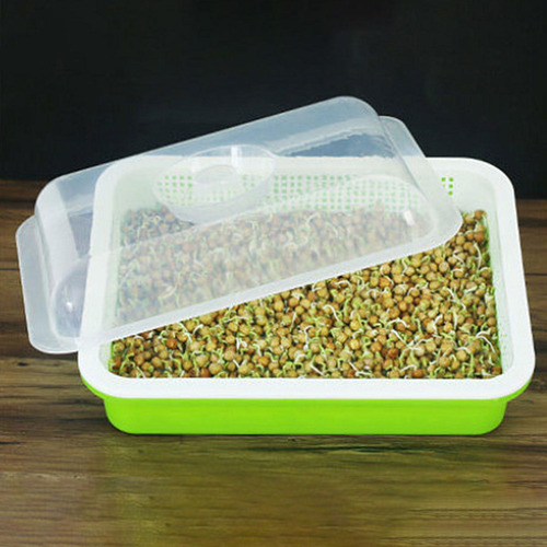 2 Bandejas De Germinação De Sementes, Recipiente Tolet