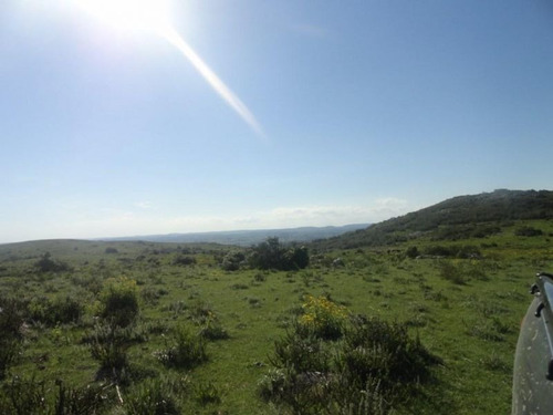 Campo En Venta En Las Cañas