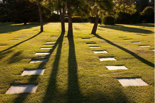 Imagen 3 de 4 de Parcela Del Cementerio Jardín Del Pilar , Parque Campanario