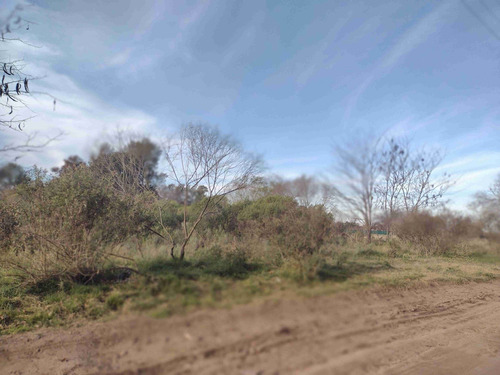 Imagen 11 de 12 de Venta Terreno 3.000 M2 En Pilar