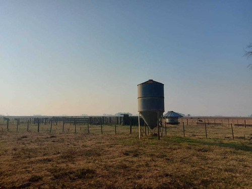 Imagen 3 de 11 de Chacra De 18 Hectareas En Saladillo Sobre Ruta 205