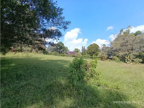 Vendo Lote En Llano Grande Vereda Cabeceras De 6.307 M² Sobre Vía