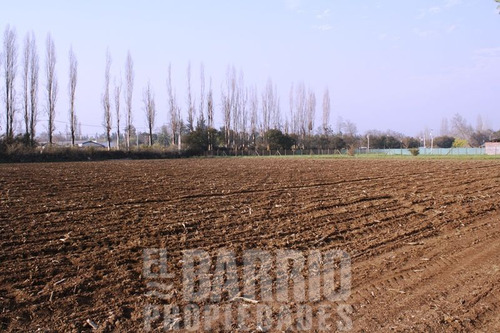 Sitio En Arriendo En Colina