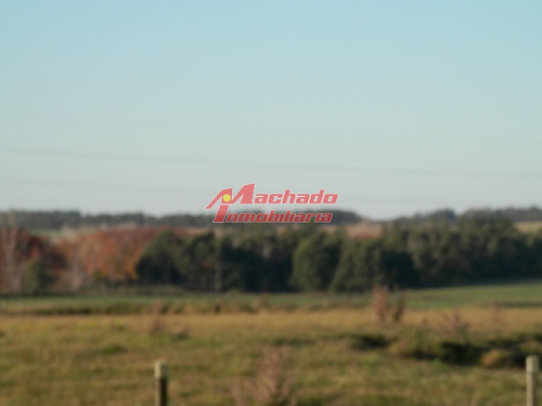 Imagen 7 de 7 de Venta De Chacra Sobre Ruta 104