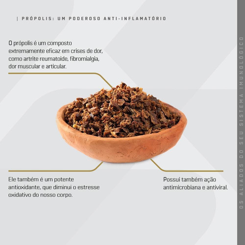 Própolis Dux - Pote 60 Cápsulas Sabor Sem Sabor