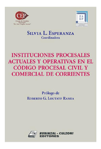 Libro - Instituciones Procesales Actuales Y Operativas En E