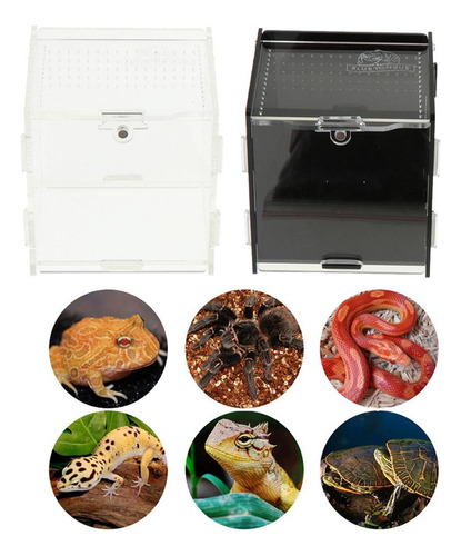 Nuevo Caja De Cría Tortuga Arañas Accesorios De Blanco 1