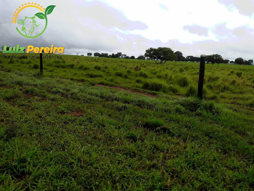 Imagem 6 de 15 de Fazenda À Venda Em Formoso Do Araguaia-to - 1.771 Hectares (dupla Aptidão) - 1618