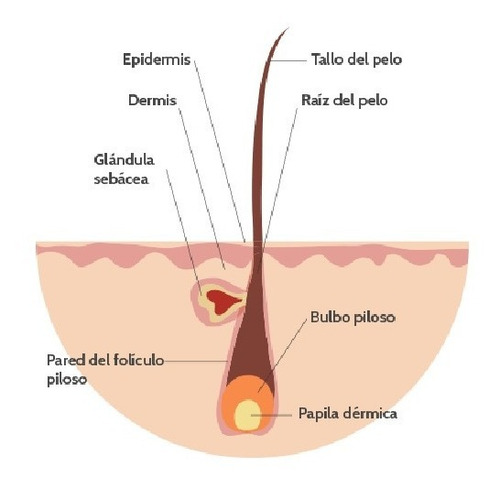 Imagen 10 de 10 de Masajeador De Cabeza Vibratorio Compacto Y Liviano - Cabezal