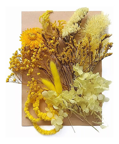 Paquete Flores Secas Naturales Prensadas Para Manualidades