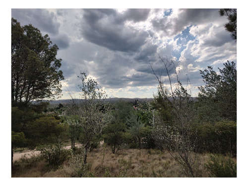 Imagen 6 de 24 de Terreno En Venta De 909m2 Ubicado En Villa Giardino