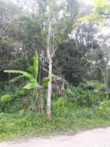 Imagem 4 de 4 de Lote De Chácara No Bairro Recanto Dos Imigrantes, Em Itanhaém, Com 415m² De Área Total
