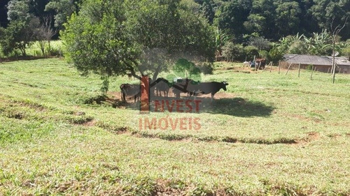 Imagem 5 de 15 de Sitio - Ref: 4566 - V-4566