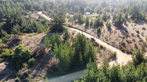 Parcela En Venta En Pichilemu