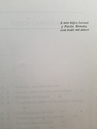 A0 Introducción Al Estudio Derecho Leonel Pereznieto Castro (Usado)