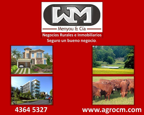 Imagen 14 de 14 de Venta Casa Trinidad Flores 2 Dormitorios + Patio Inmo Menyou