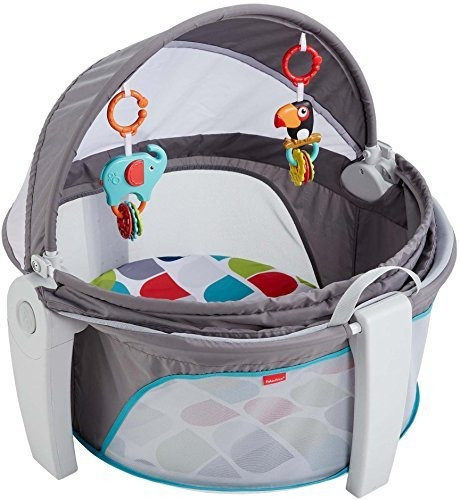 Cupula Para Bebe Fisher-price On-the-go, Gris / Multicolor