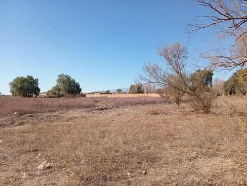 Venta De Lote 4660 M2 En Las Lomitas. Albardón