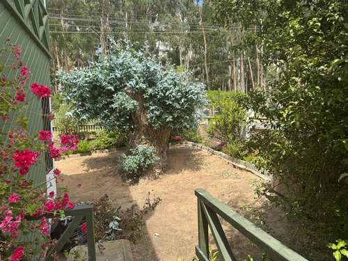 Casa En Arriendo De 4 Dorm. 3 Baños Y Estac. En Algarrobo