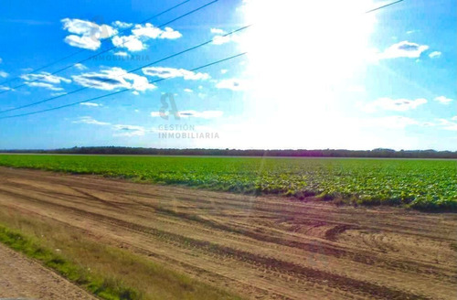 Imagen 7 de 11 de Terreno En Venta 1200 Hectareas Tekax, Yucatán. Ctv16.