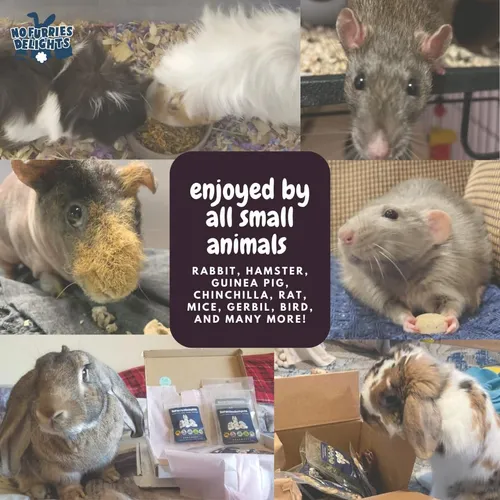 Alimento Para Conejo Hámster Cobaya Chinchilla Ratones