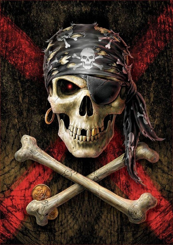 Puzzle Rompecabeza 500 Piezas Calavera Pirata Educa 17964