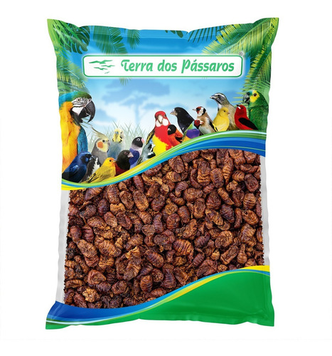 Insetos Desidratados Bicho Da Seda - Crisálida - 400g