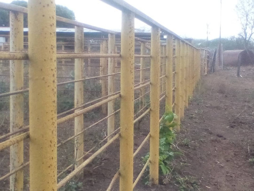 Imagen 8 de 9 de Vendo Finca Productiva En Pariaguan Edo. Anzoategui - Venezuela