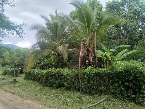 Finca De Descanso