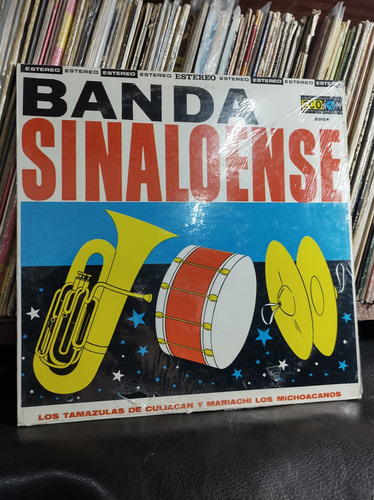 Banda Los Tamazulas De Culiacán Vinilo Lp Vinyl 