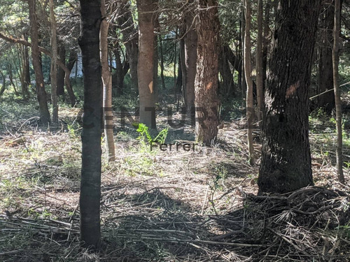 Imagen 10 de 15 de Lote En Venta - Bariloche - Zona Llao Llao - Id:15240