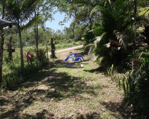 Imagem 4 de 22 de Sítio Rural À Venda, Zuna Rural, Juquiá. - St00020 - 67873852