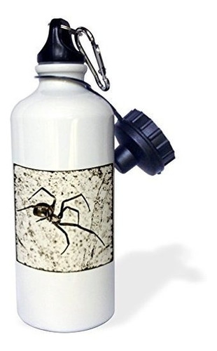 Botellas De Agua - 3drose Western Black Widow Spider (latrod