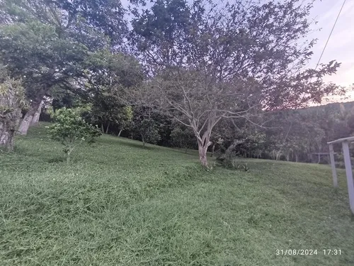 Vendo Finca En Otramina En Titiribí Suroeste Antioqueño De 2 Cuadras Topografía Plana