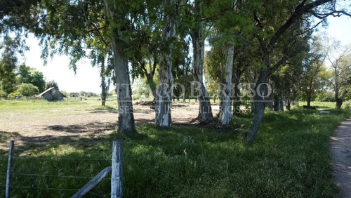 Imagen 3 de 5 de Terreno Fraccion En Venta Ubicado En Los Cardales, Exaltación De La Cruz, G.b.a. Zona Norte