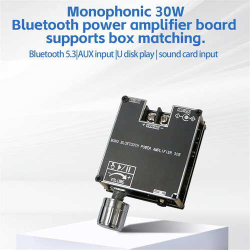 Amplificador Zk-301b 30w Mono 5.3 O Com Tws & App