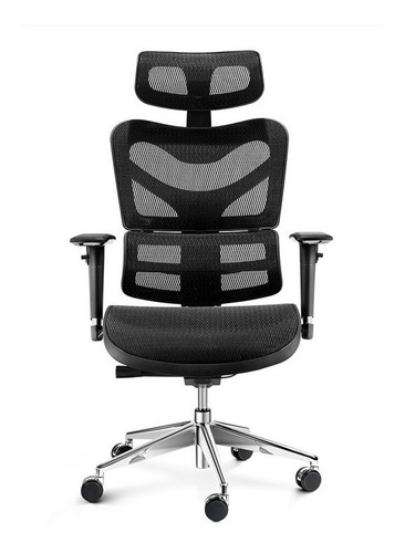 Imagen 2 de 5 de Silla Presidencial Ergohuman Giratoria Ajustable Base Cromo