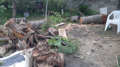 Imagem 1 de 5 de Gustavo Podas Trabalhamos Com Podas E Limpeza De Coqueiro