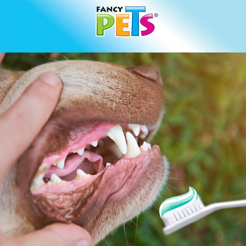 Imagen 3 de 4 de Kit Dental - Pasta Y Cepillo Para Perro 90 Grs Fancy Pets