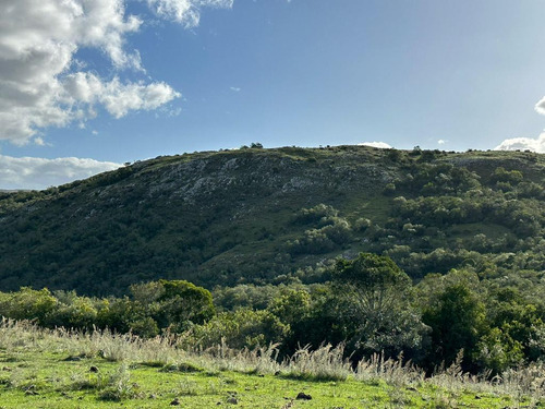 Oportunidad Chacras 5 Hectareas En Maldonado. Sierras De Aigua, Ruta 109. Con Arroyo, Cañadas, Monte Nativo.