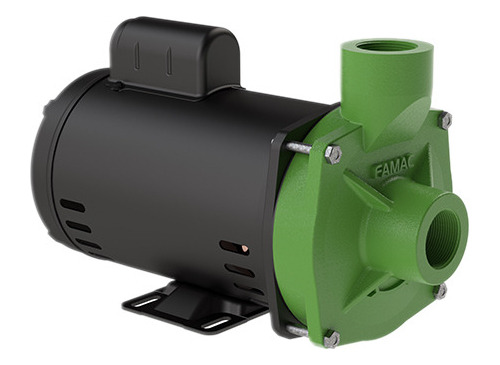 Motobomba Centrífuga Água Limpa Fsg-p 1cv Motor Weg Famac