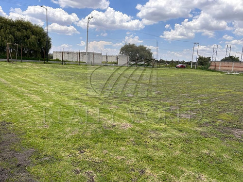 Terrenos En Renta En San Miguel Totocuitlapilco