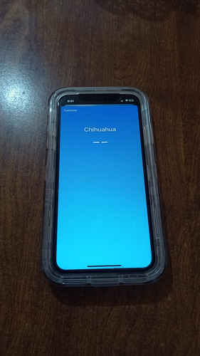 Celular iPhone 11 64 Gb, Gris Oscuro, Cargador, Y Funda (Usado)