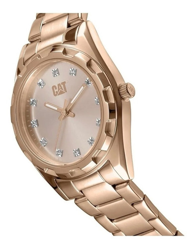 Imagen 2 de 7 de Reloj Caterpillar Mujer California Lady Acero