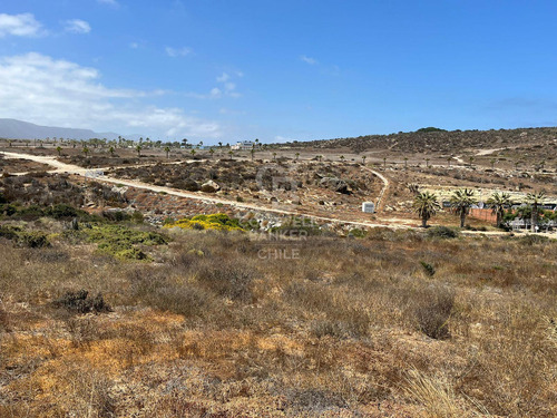 Terreno En Las Tacas Para Desarrollo 6.000m2