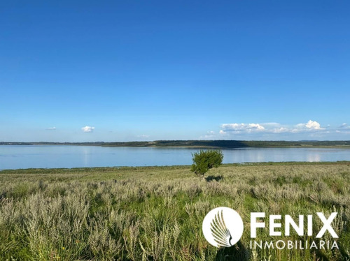 Imagen 3 de 7 de Tf427 Hectareas Con Vista Al Río Z/garupa